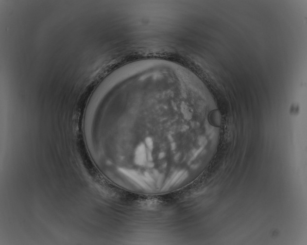 X0000092110695200710101143