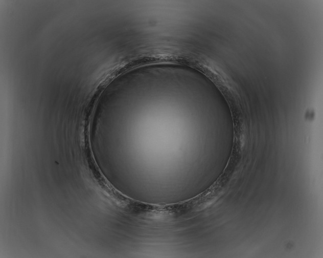 X0000092110696200710101143
