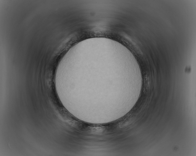 X0000092110698200710101143