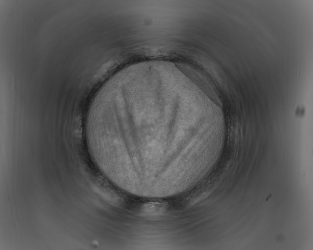 X0000092110700200710101143