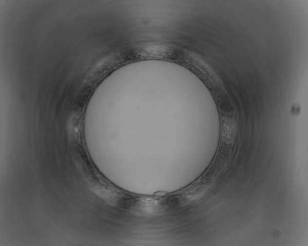 X0000092110701200710101143