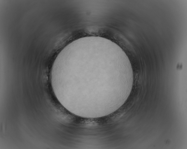 X0000092110702200710101143