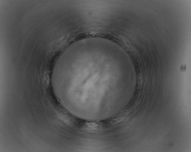 X0000092110703200710101143