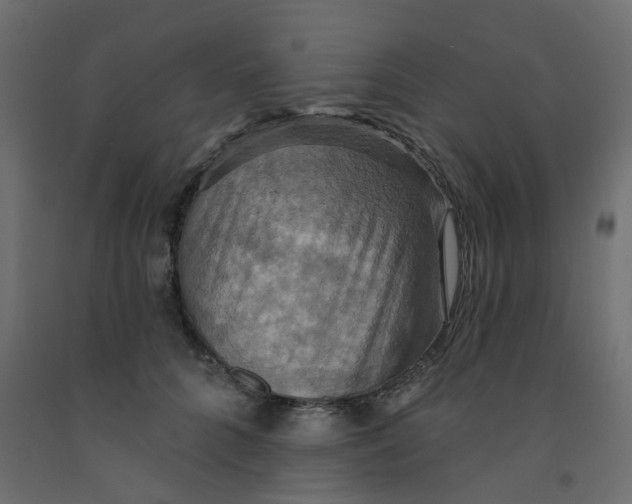 X0000092110704200710101143