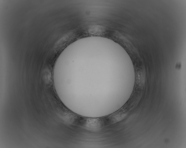 X0000092110705200710101143