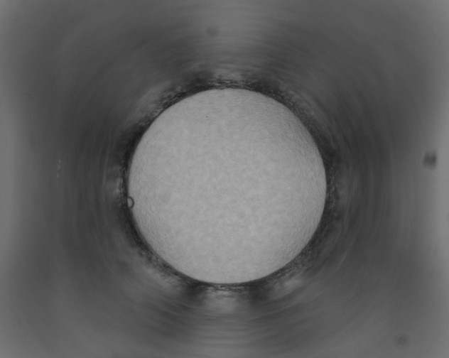X0000092110706200710101143