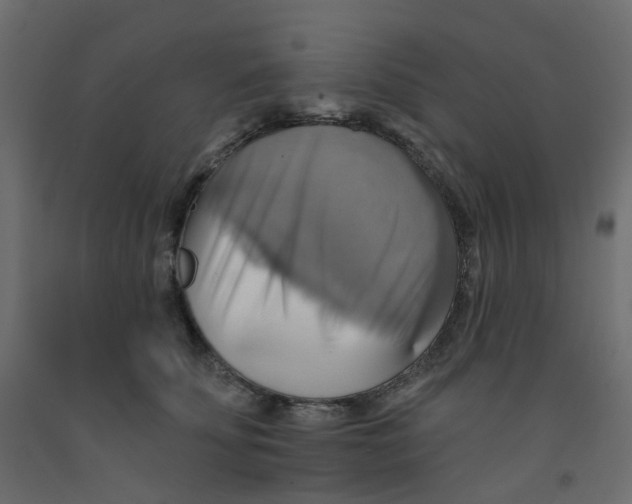 X0000092110707200710101143