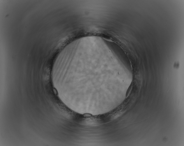 X0000092110708200710101143