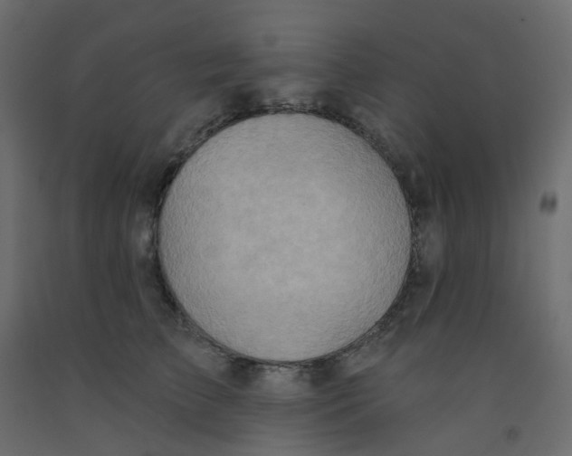 X0000092110709200710101143