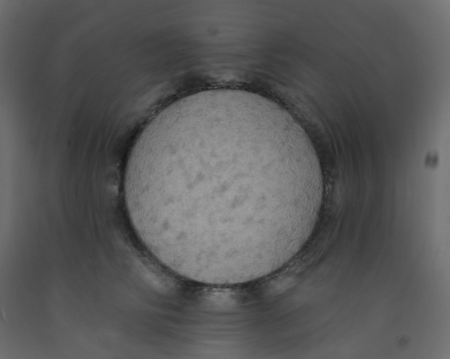 X0000092110710200710101143