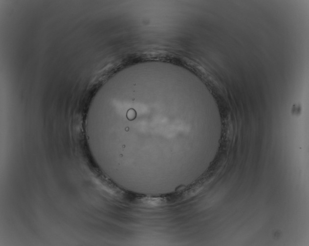 X0000092110711200710101143