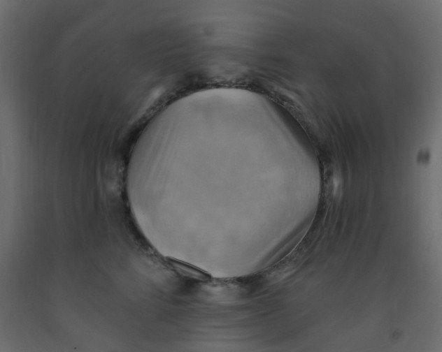 X0000092110712200710101143