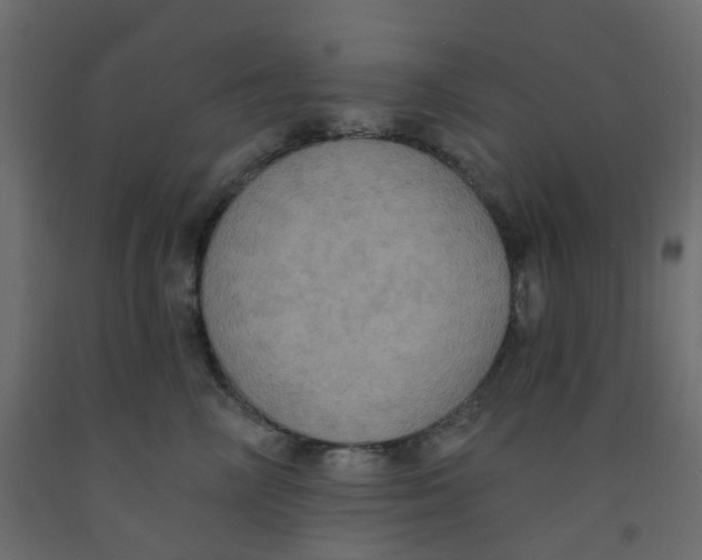 X0000092110714200710101143