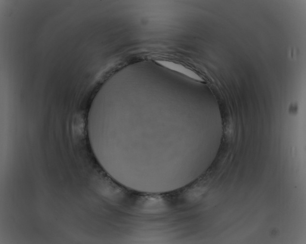 X0000092110715200710101143