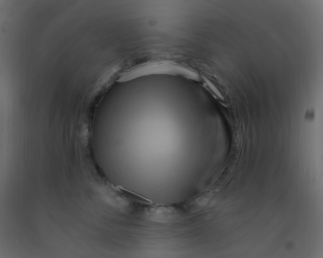 X0000092110716200710101143