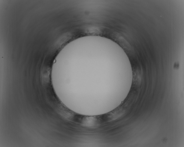 X0000092110717200710101143
