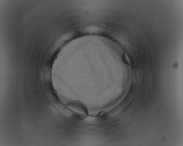 X0000092110718200710101143