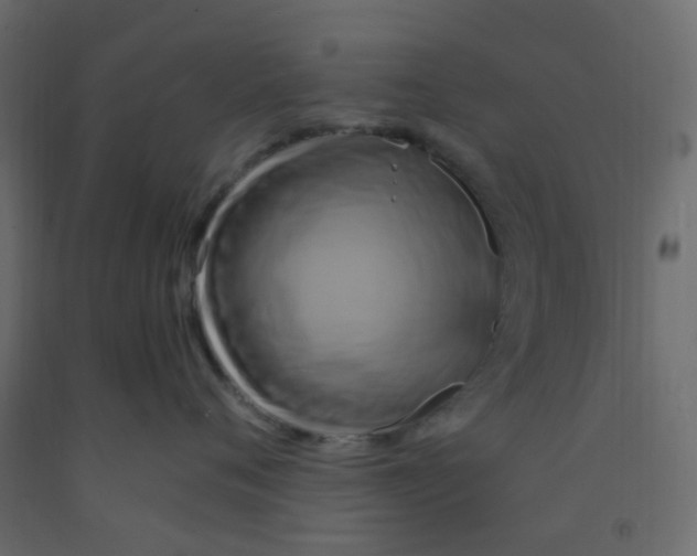 X0000092110720200710101143