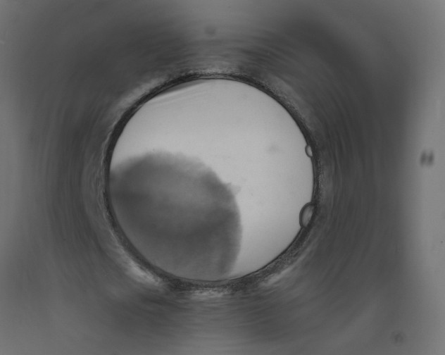 X0000092110721200710101143