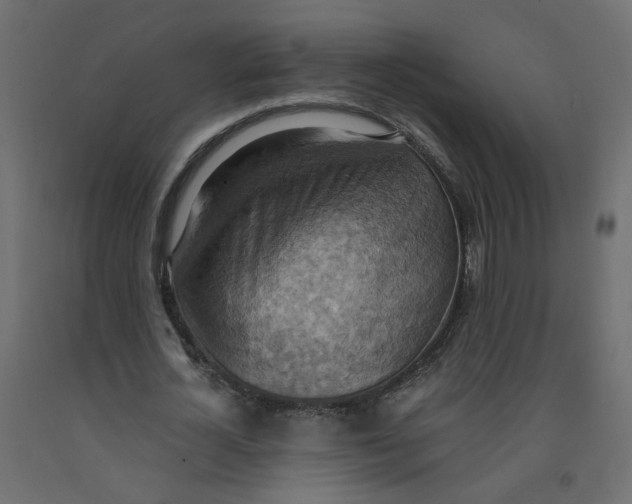 X0000092110724200710101143