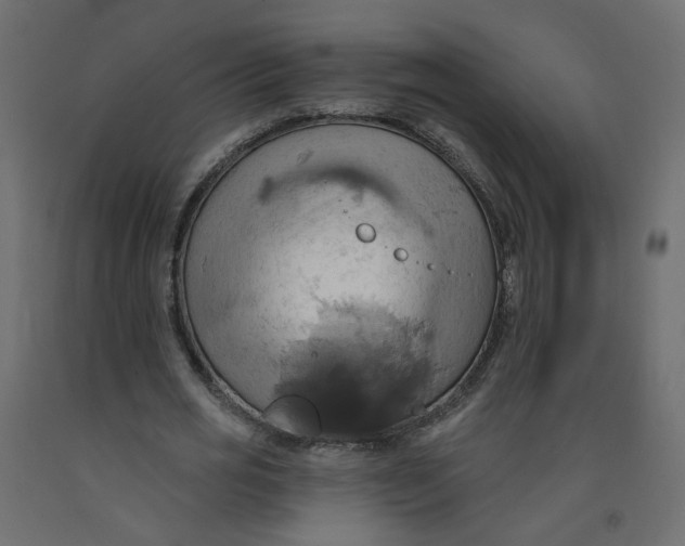 X0000092110725200710101143
