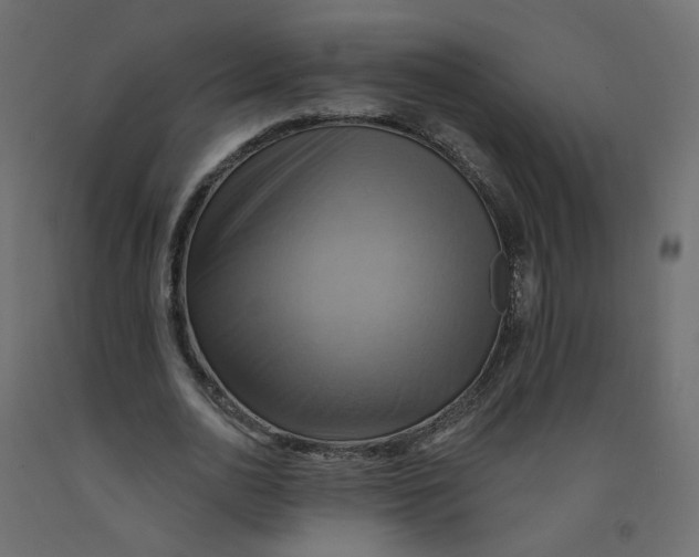 X0000092110726200710101143