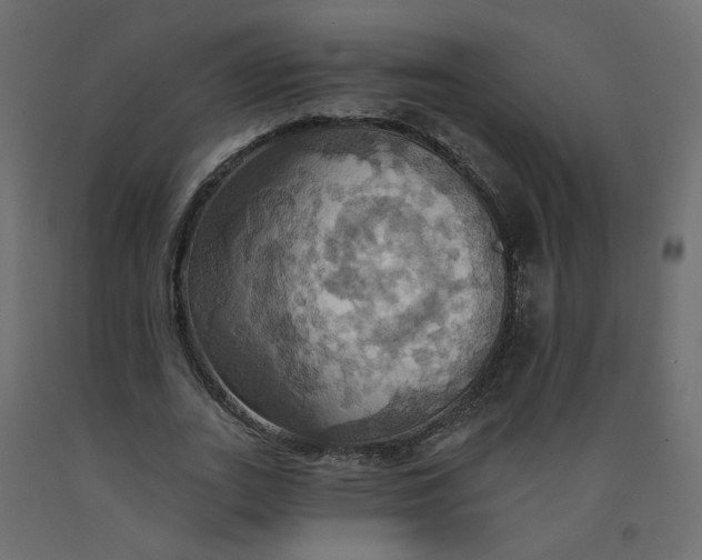 X0000092110727200710101143