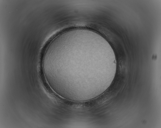 X0000092110728200710101143