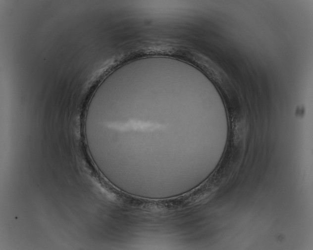 X0000092110729200710101143