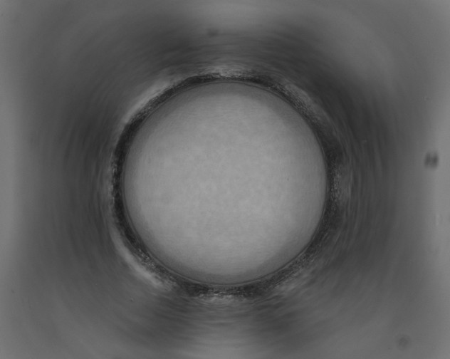 X0000092110730200710101143