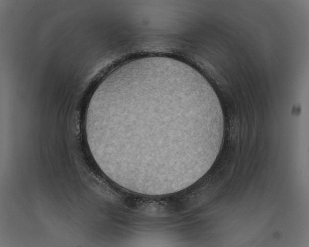 X0000092110731200710101143