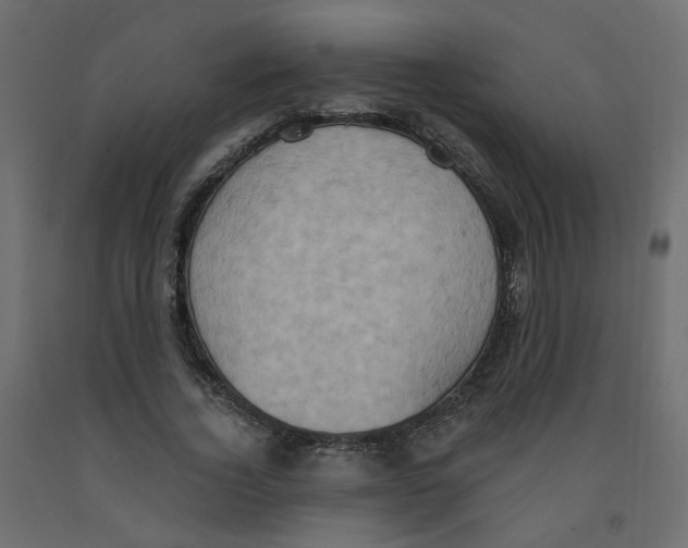 X0000092110732200710101143