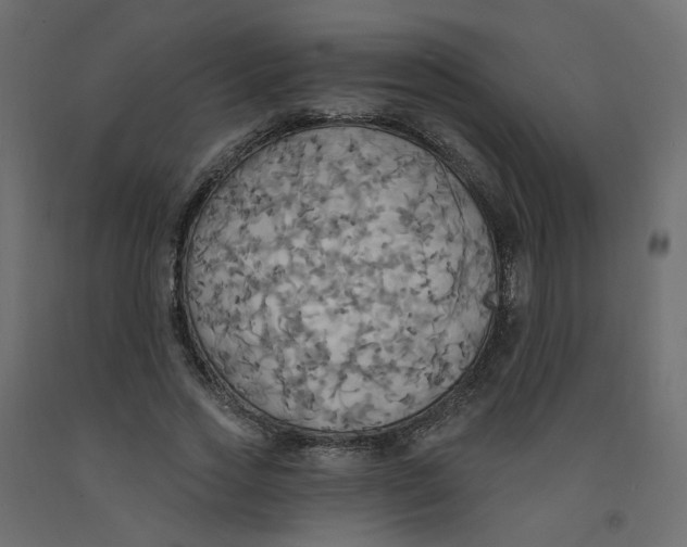 X0000092110733200710101143