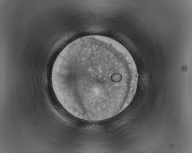X0000092110734200710101143