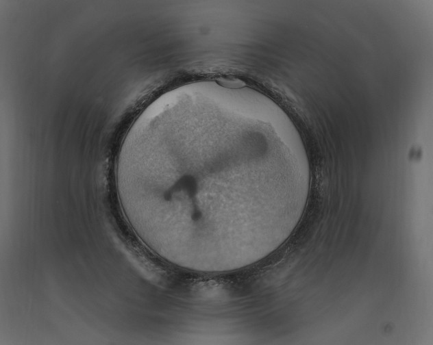 X0000092110735200710101143