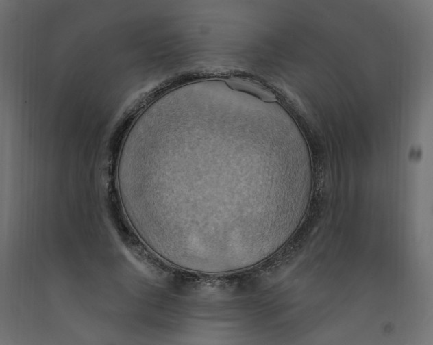 X0000092110736200710101143