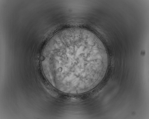 X0000092110737200710101143
