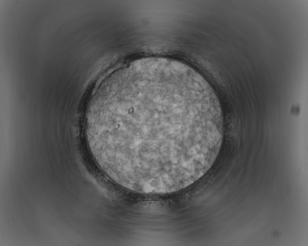X0000092110738200710101143