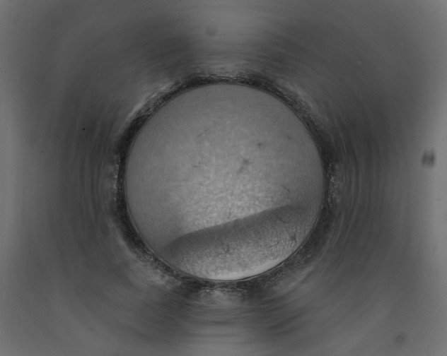 X0000092110739200710101143