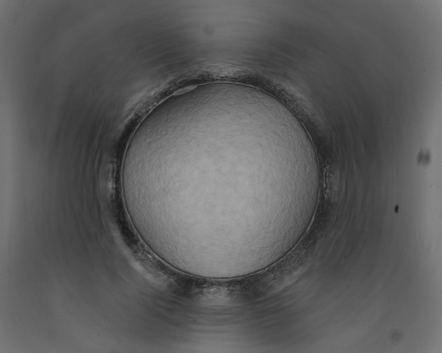 X0000092110740200710101143