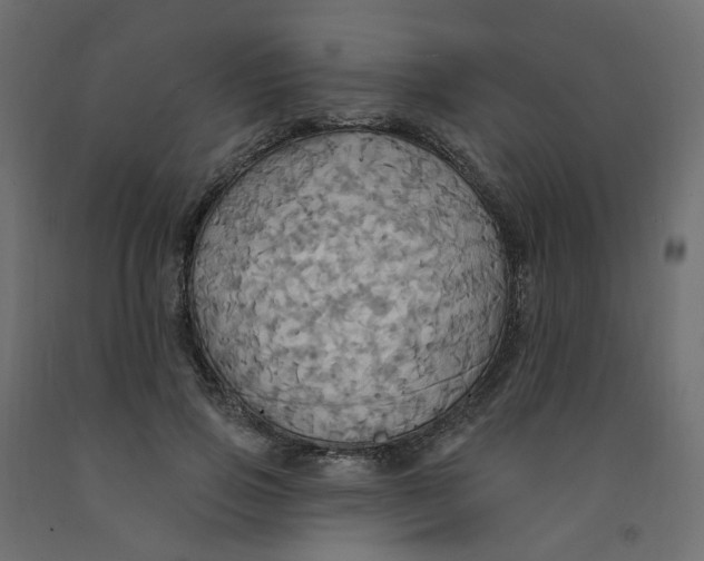 X0000092110741200710101143