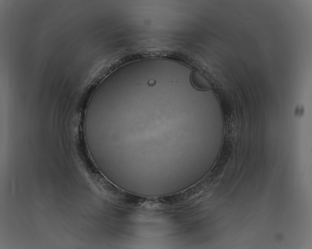 X0000092110742200710101143