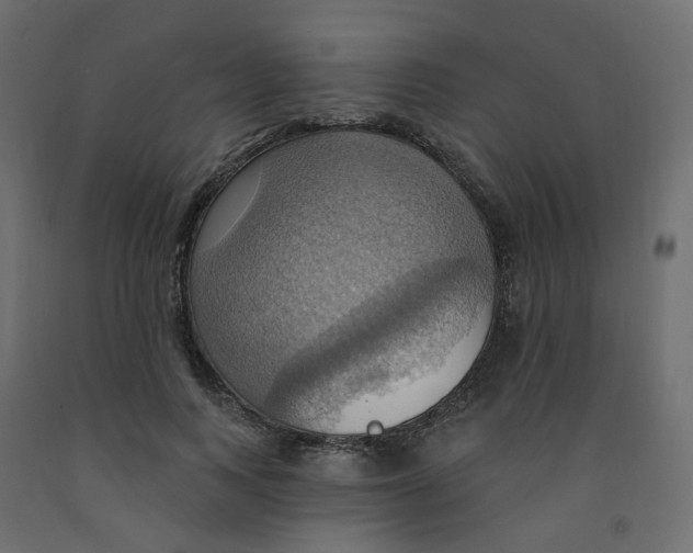 X0000092110743200710101143