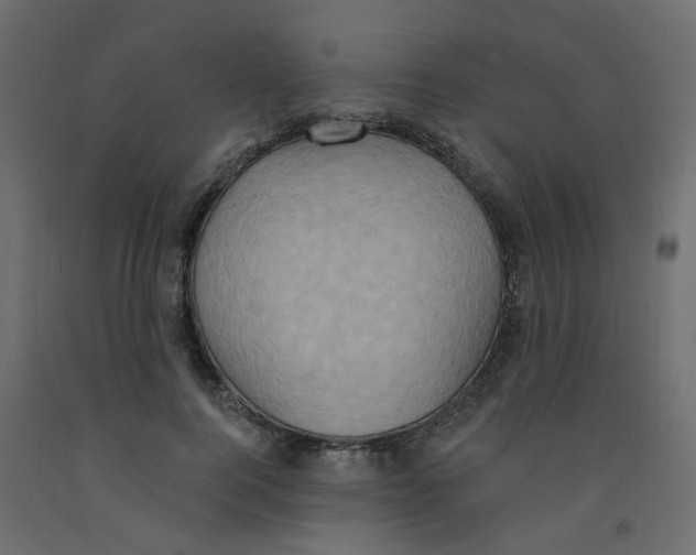 X0000092110744200710101143