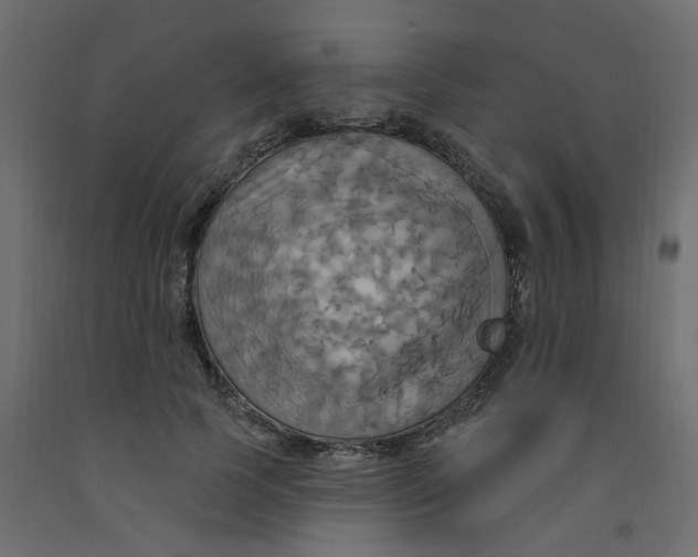 X0000092110745200710101143