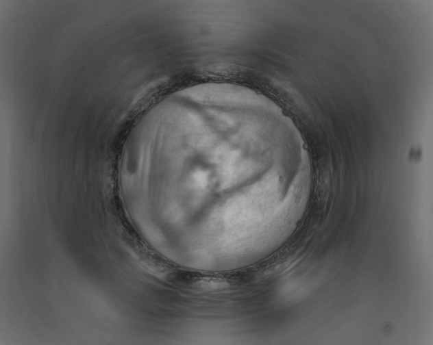 X0000092110749200710101143
