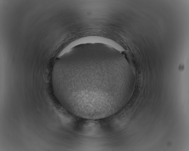 X0000092110750200710101143