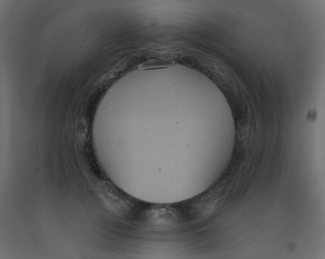 X0000092110752200710101143