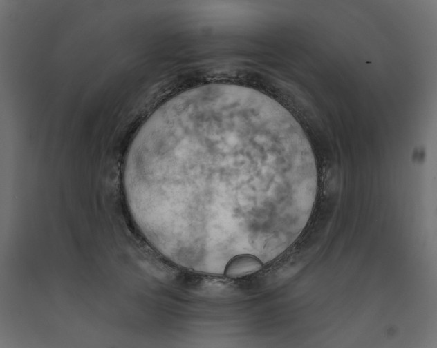X0000092110753200710101143
