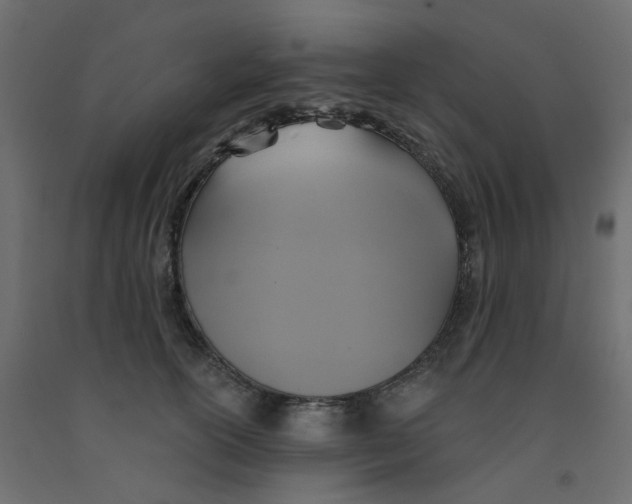 X0000092110754200710101143